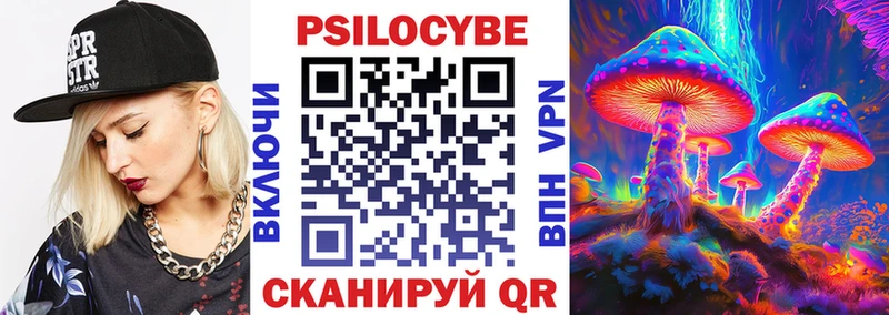 где можно купить   Узловая  Галлюциногенные грибы Psilocybe 