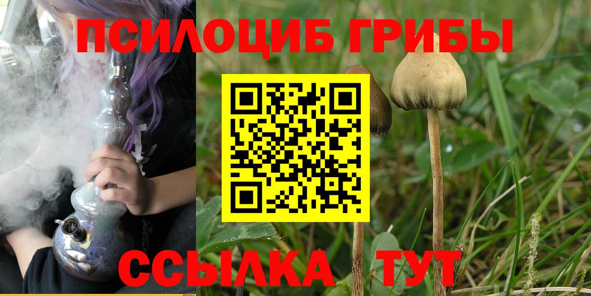 Галлюциногенные грибы GOLDEN TEACHER  Вход с VPN  наркота  Узловая 